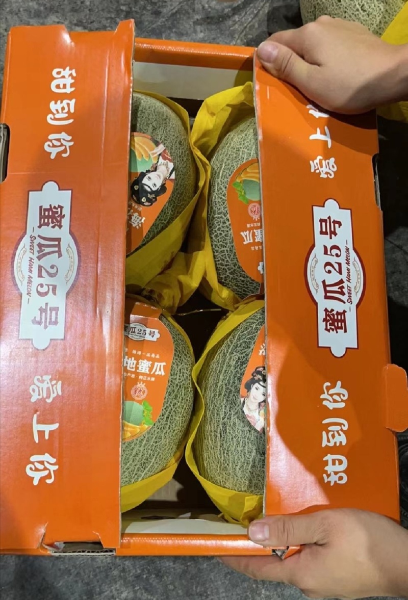 热卖海南哈密瓜晓蜜25哈蜜瓜基地直供甜美多汁联系