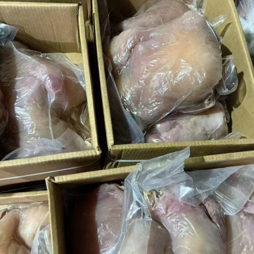 山东牛头肉/精选牛头肉/阳信牛头肉/量大从优诚信经营