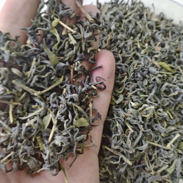 绿茶炒青