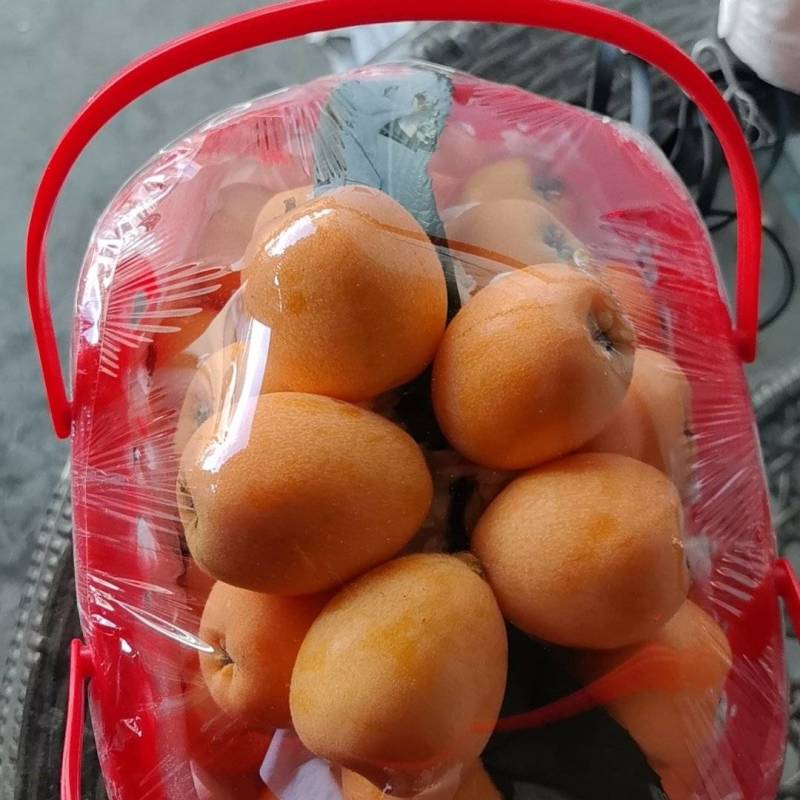 四川大五星枇杷，主要是口感好，果大，品质说话保质保量