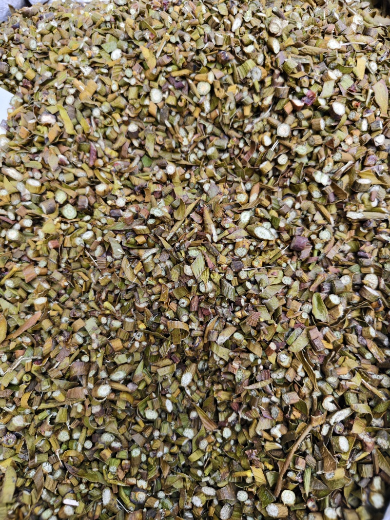 槲寄生嫩枝切片，颜色自然，东北寄生质量保证。规格齐全