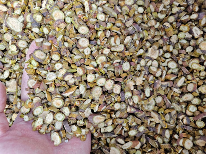 槲寄生嫩枝切片，颜色自然，东北寄生质量保证。规格齐全