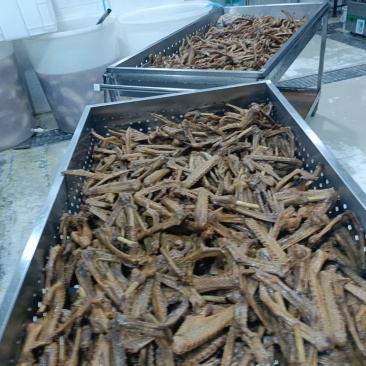 鹅翅，货量足，品质佳，规格齐全，欢迎咨询