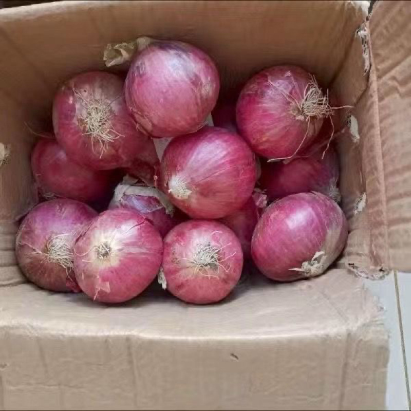 ***洋葱一件代发超高性价比欢迎电话咨询