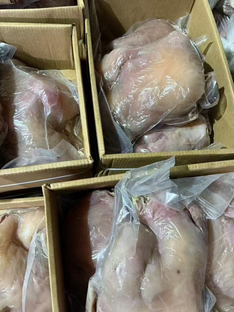 山东牛头肉/精选牛头肉/阳信牛头肉/量大从优诚信经营