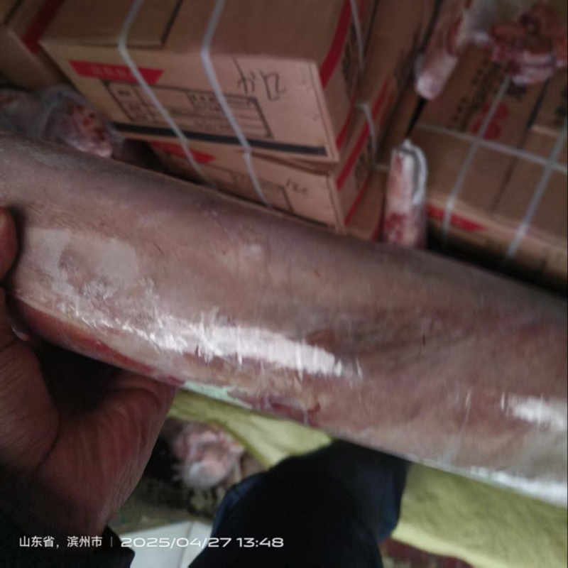 山东精品牛舌/阳信牛舌/精修无油/精选好货/便宜