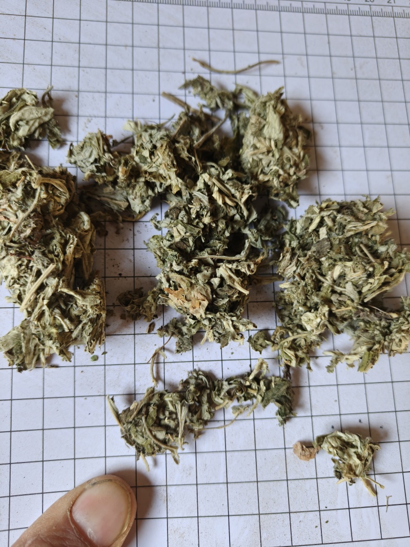 艾叶批发1000克起一件代发支持混批量大从优