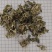艾叶批发1000克起一件代发支持混批量大从优
