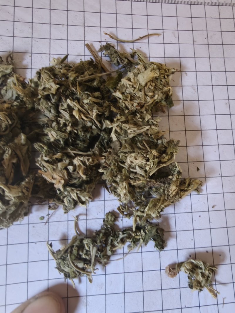 艾叶批发1000克起一件代发支持混批量大从优