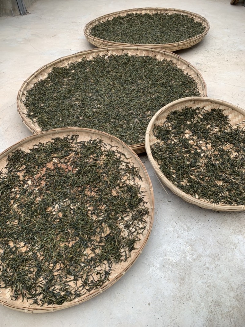 古树普洱茶