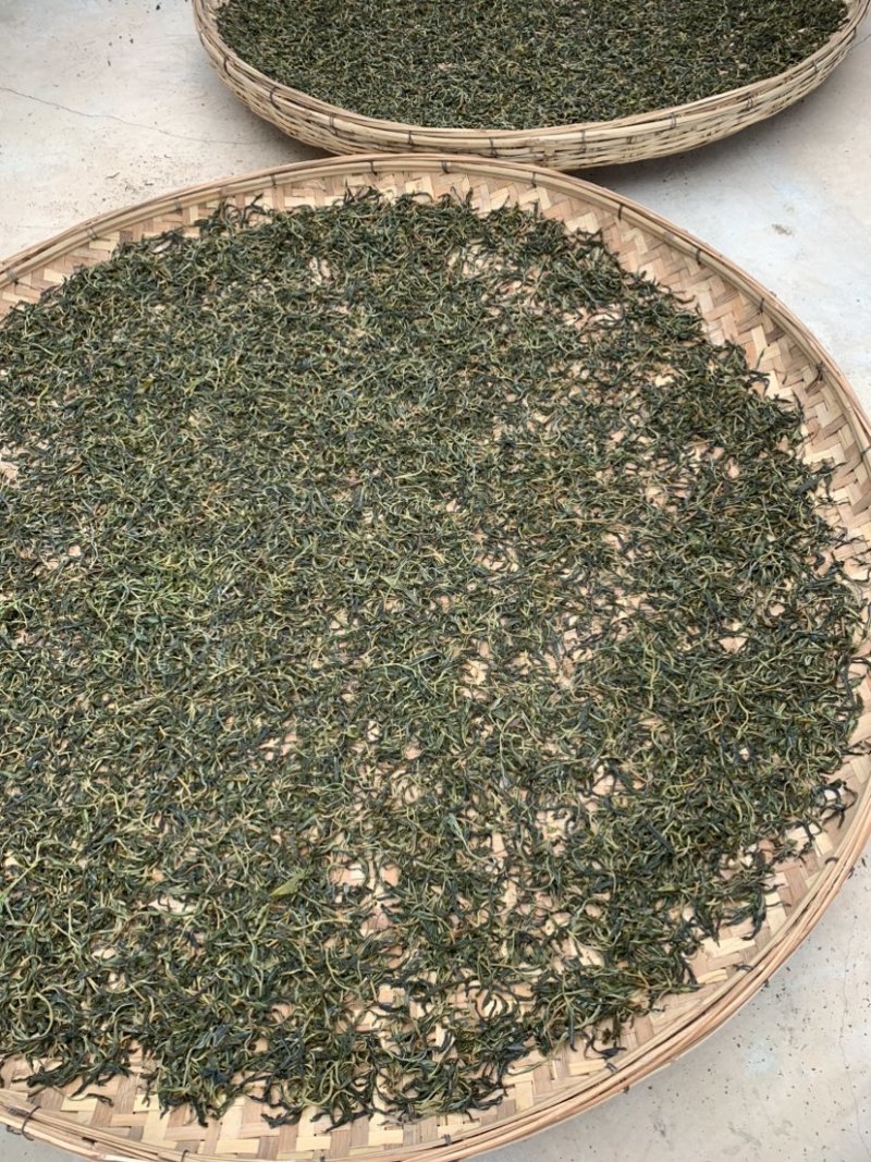 古树普洱茶
