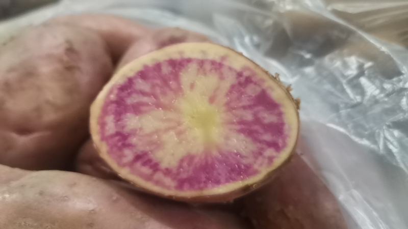 红心土豆