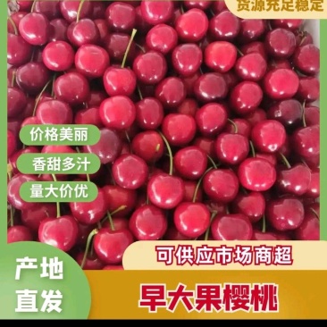 《甘肃大樱桃》产地直发，大量上市，品质保证，欢迎采购