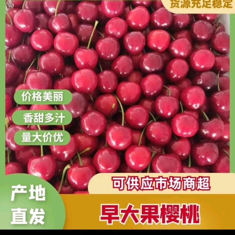 《甘肃大樱桃》产地直发，大量上市，品质保证，欢迎采购