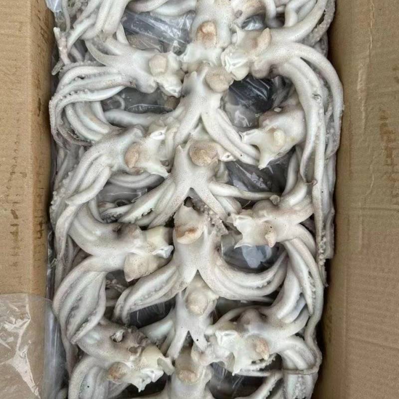 机洗鱿鱼头17斤310/件，运费自理