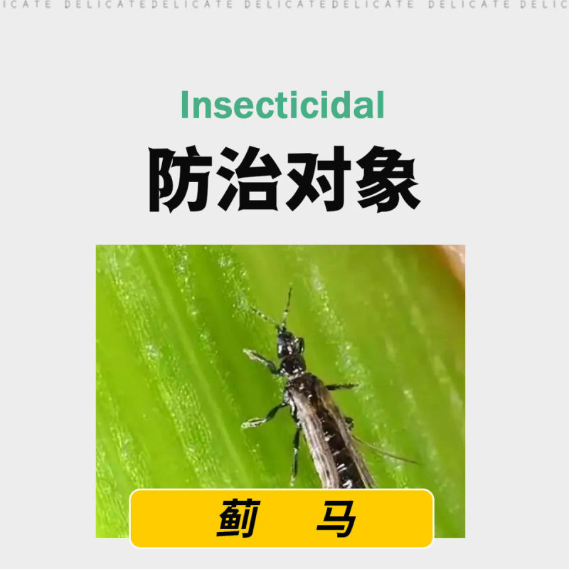 亿嘉刻敌20%虫螨腈唑虫酰胺蓟马专用杀虫剂唑虫酰胺虫螨