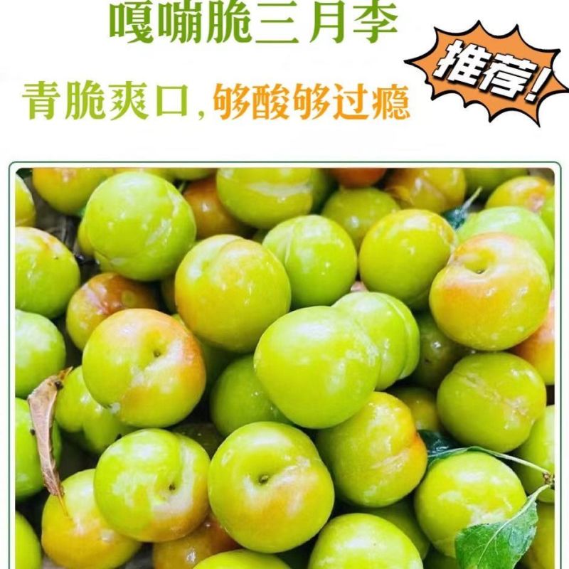 三月李三华李李子一件代发抖音快手淘宝拼多多视频号直播带货