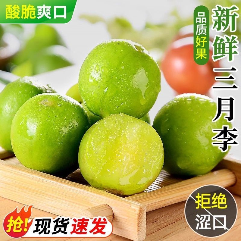 三月李三华李李子一件代发抖音快手淘宝拼多多视频号直播带货