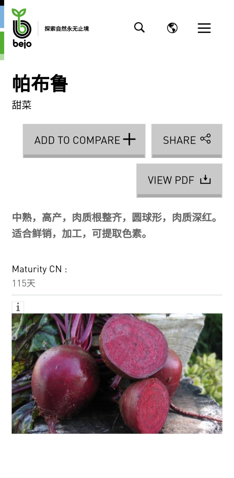 红甜菜甜菜根颗粒、火焰参、天然色素源头工厂全年直供