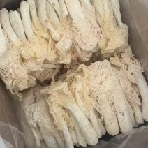 福建长裙竹荪带裙竹荪好品质产地直销货源充足