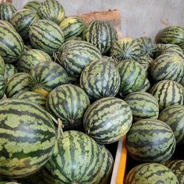 云南西瓜电商一件代发，甜王，麒麟，美都