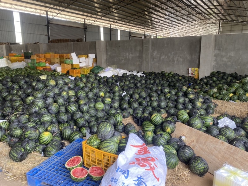 云南西瓜电商一件代发，甜王，麒麟，美都