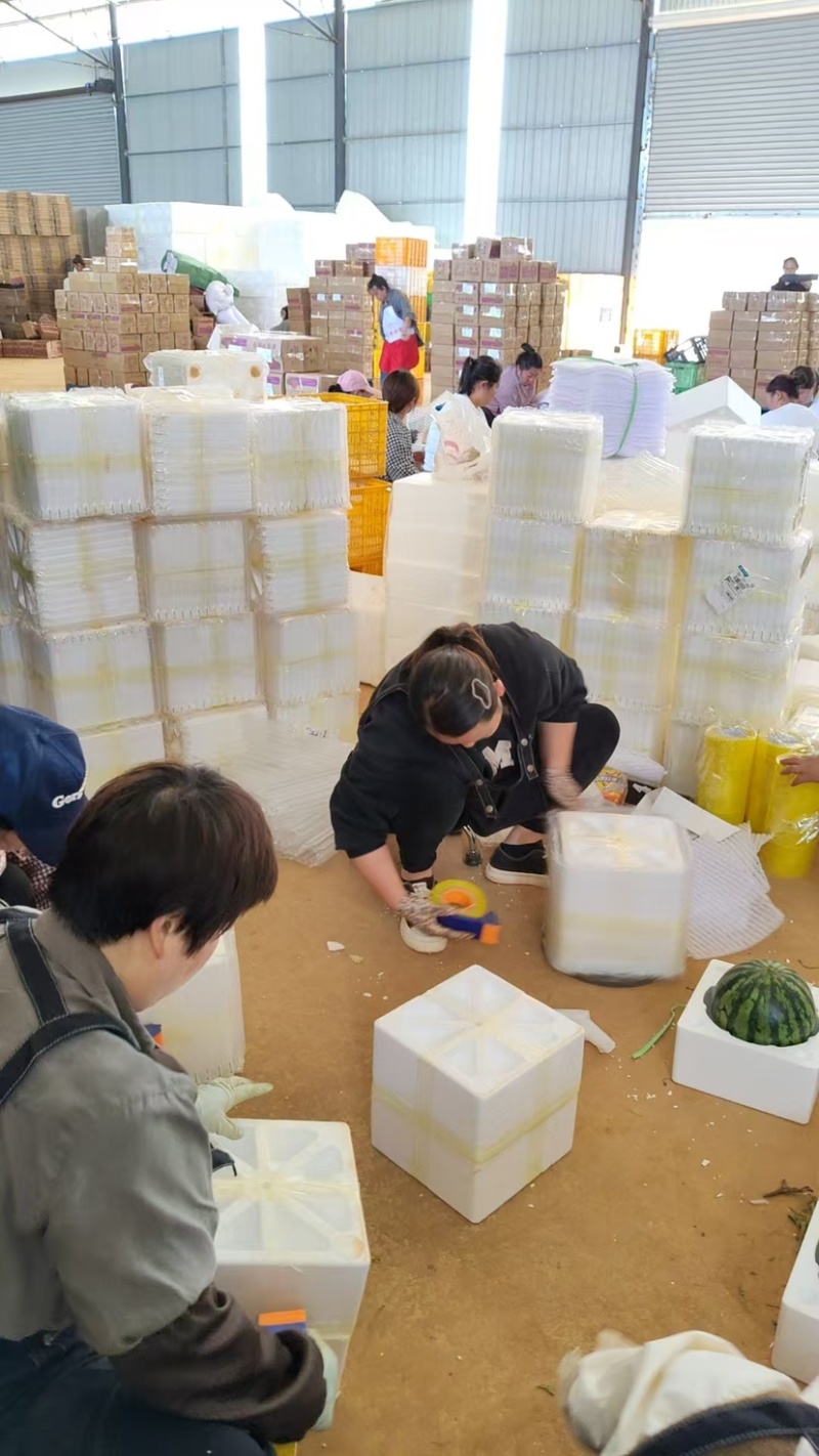 云南西瓜电商一件代发，甜王，麒麟，美都
