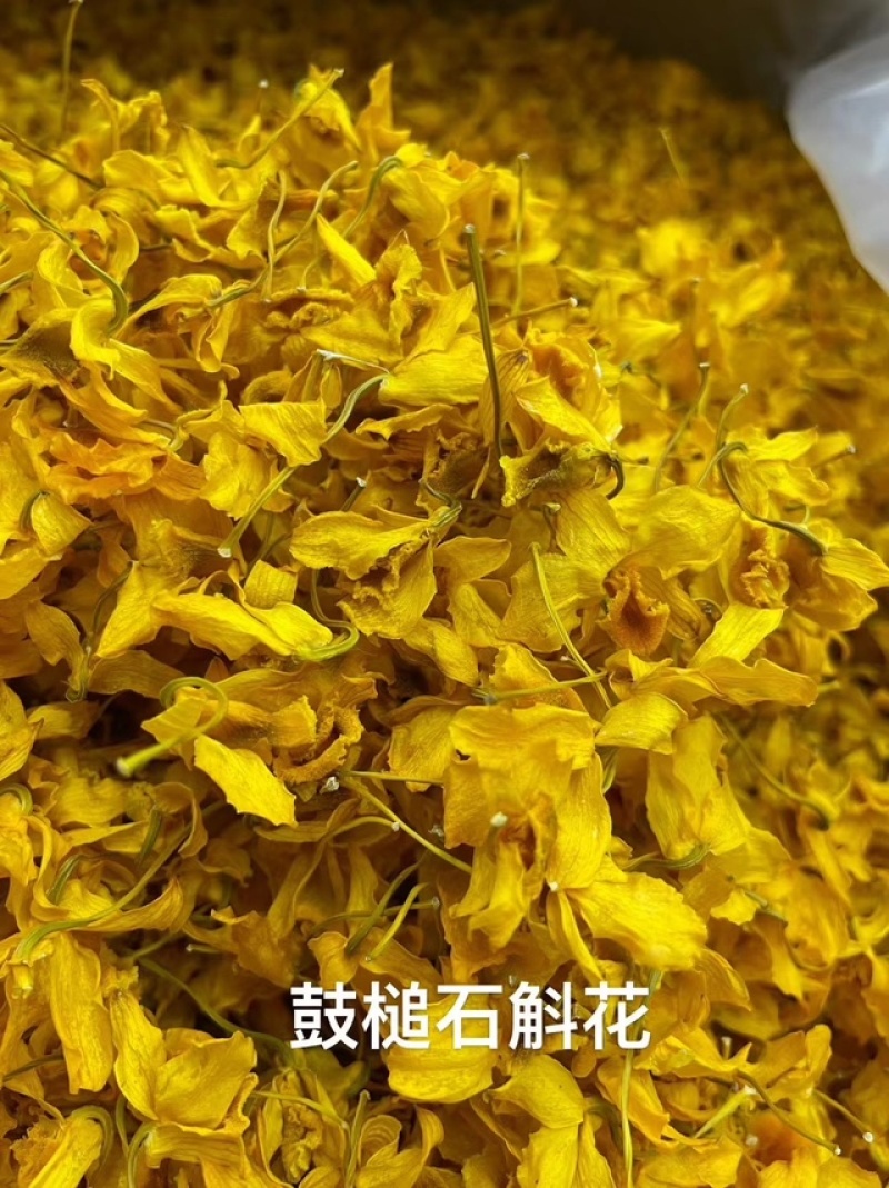 鼓槌石斛花新花铁皮石斛花