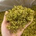 鼓槌石斛花新花铁皮石斛花