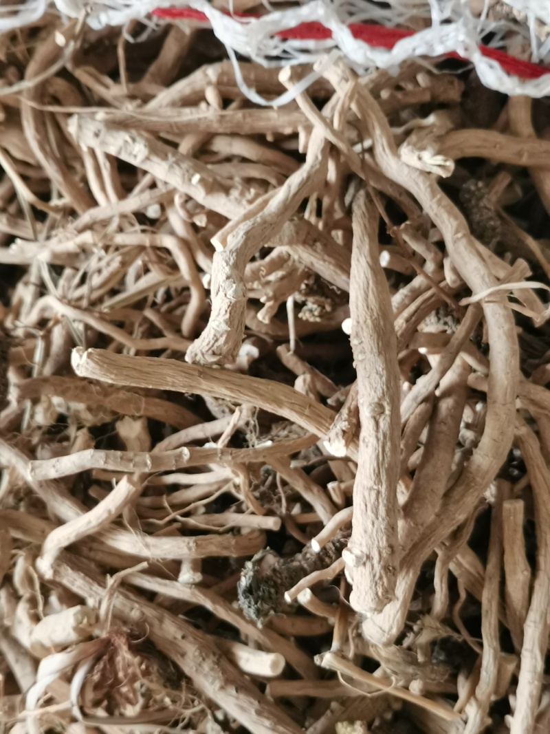 板兰根新产干度颜色白茬常年购销大货
