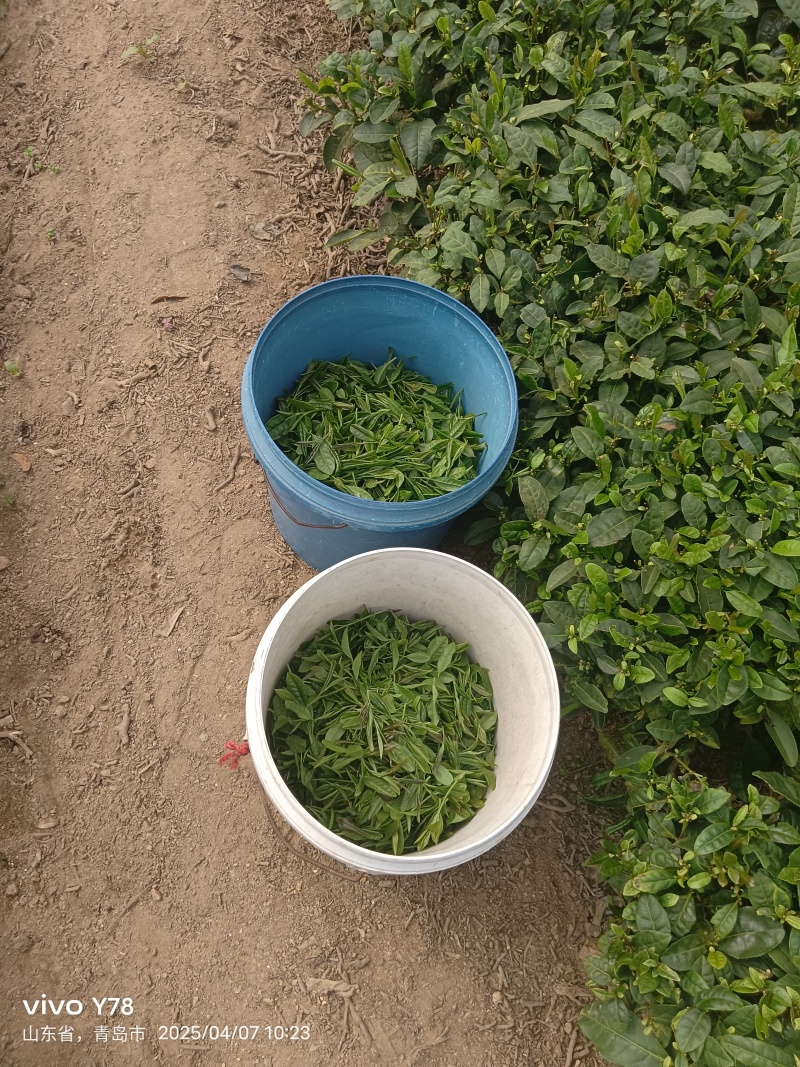 豆香茶味，回味无穷