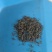 豆香茶味，回味无穷
