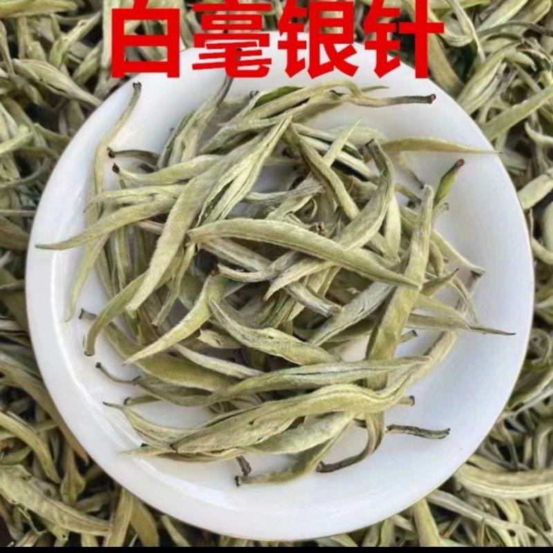 精品白豪银针源头产地全国可发对接各大商超
