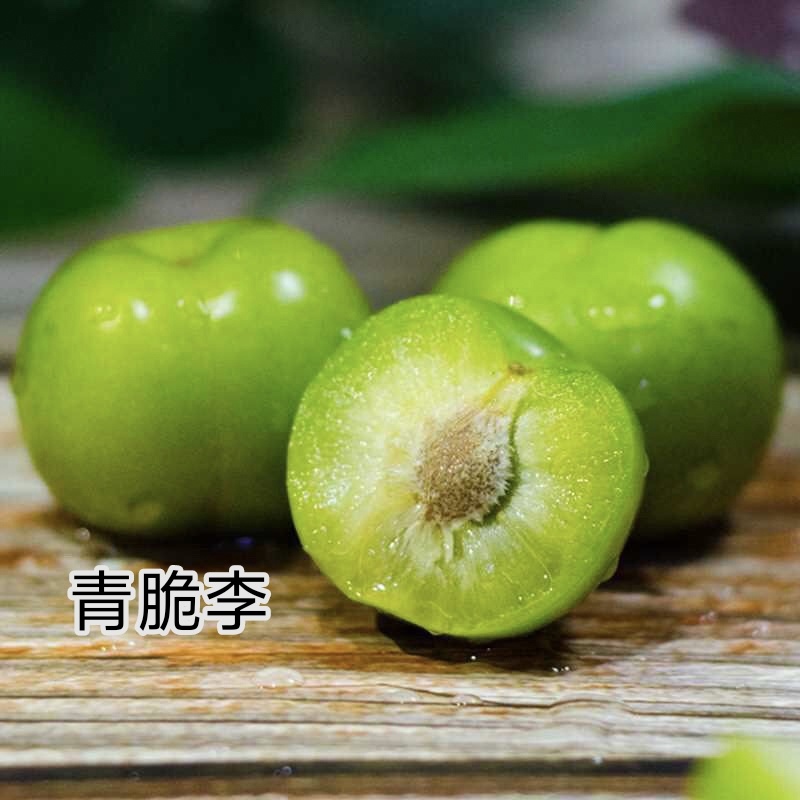 正宗四川早熟青脆李四月李