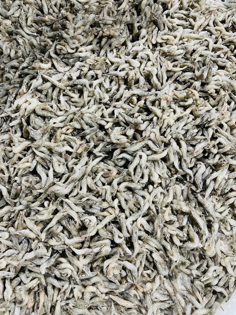 单冻河虾去虾枪不包冰龙虎魟饲料观赏鱼口粮