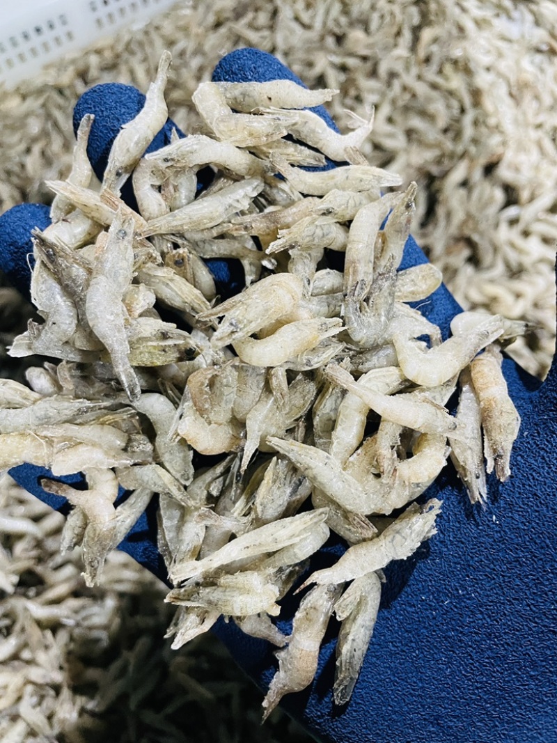 单冻河虾去虾枪不包冰龙虎魟饲料观赏鱼口粮