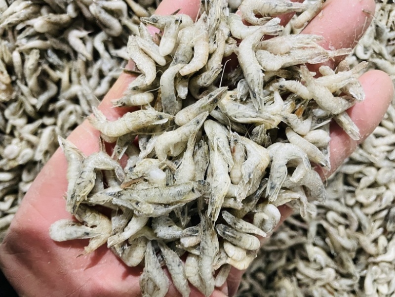 单冻河虾去虾枪不包冰龙虎魟饲料观赏鱼口粮