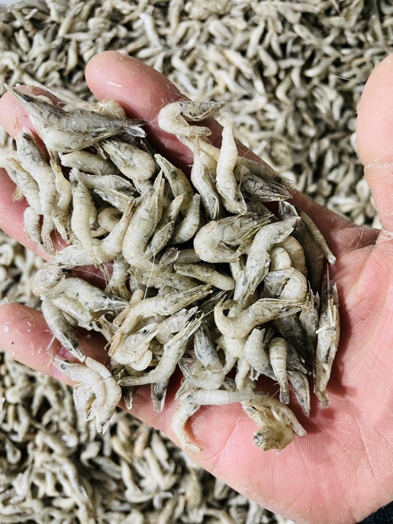 单冻河虾去虾枪不包冰龙虎魟饲料观赏鱼口粮