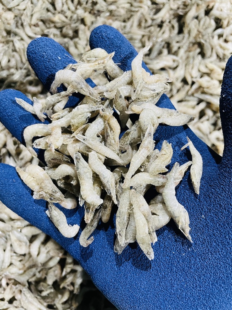 单冻河虾去虾枪不包冰龙虎魟饲料观赏鱼口粮