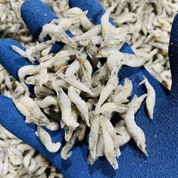 单冻河虾去虾枪不包冰龙虎魟饲料观赏鱼口粮