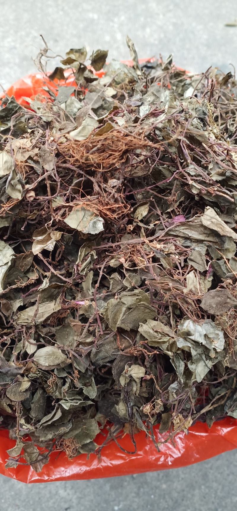 新货野生风柜斗草干楮头红鼓草风谷草中药批发量大忧惠