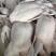光鸭鲜鸭白条鸭