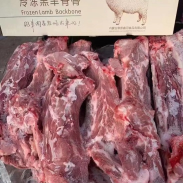 羊蝎子炖锅红烧蝎子火锅店好食材质优价廉支持样品
