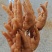 熟卤味凤爪串鸡爪串火锅烧烤自助方便食品冷冻串