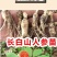 人参种苗长白山基地直供品质保证全国发货