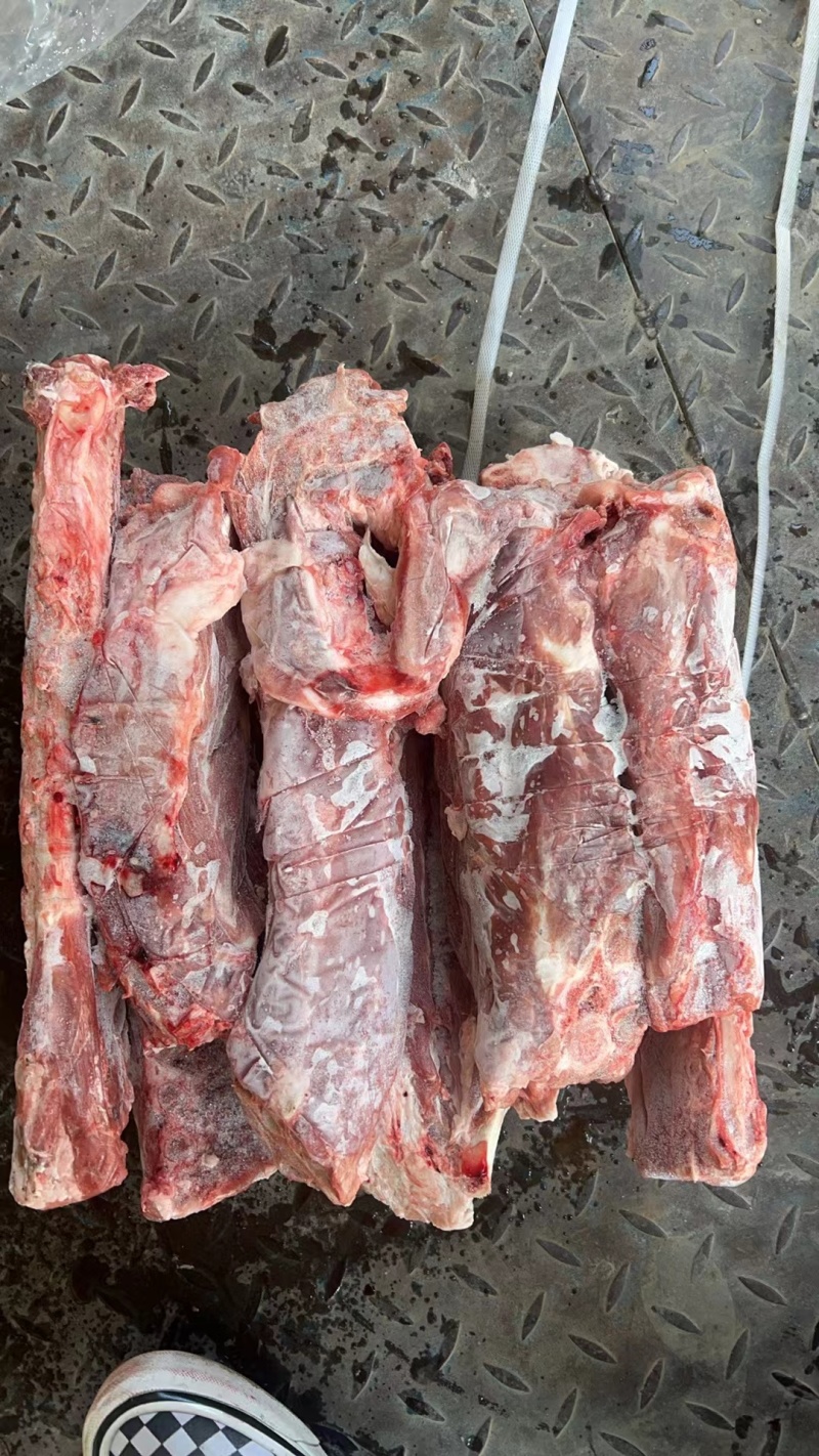 羊蝎子炖锅红烧蝎子火锅店好食材质优价廉支持样品