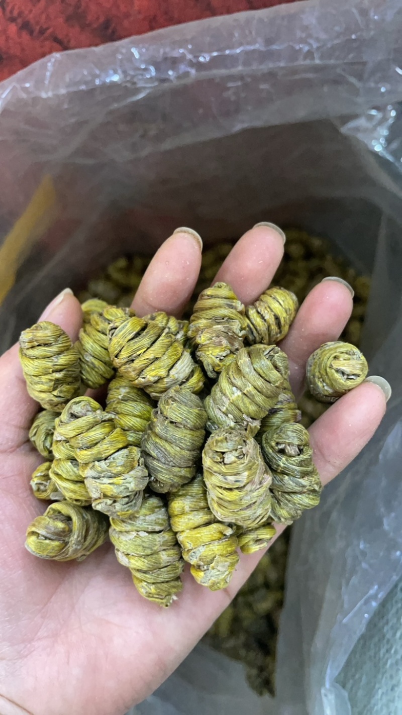 1.2到1.4铁皮石斛大货批发铁皮