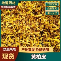 黄柏树皮原产地直发质量保证价格优惠大量现货供应