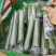 水丝瓜，合作社种植，质量保证，价格合理欢迎合作共赢