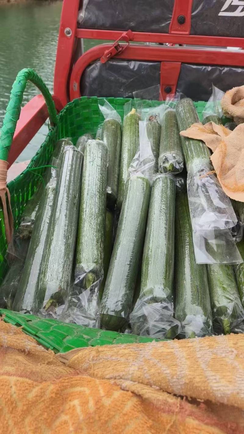 水丝瓜，合作社种植，质量保证，价格合理欢迎合作共赢